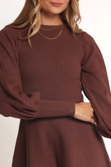 Gigi Long Sleeve Mini Dress Brown