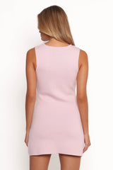 Salo Mini Dress Pink