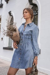 Phoenix Long Sleeve Mini Dress Denim