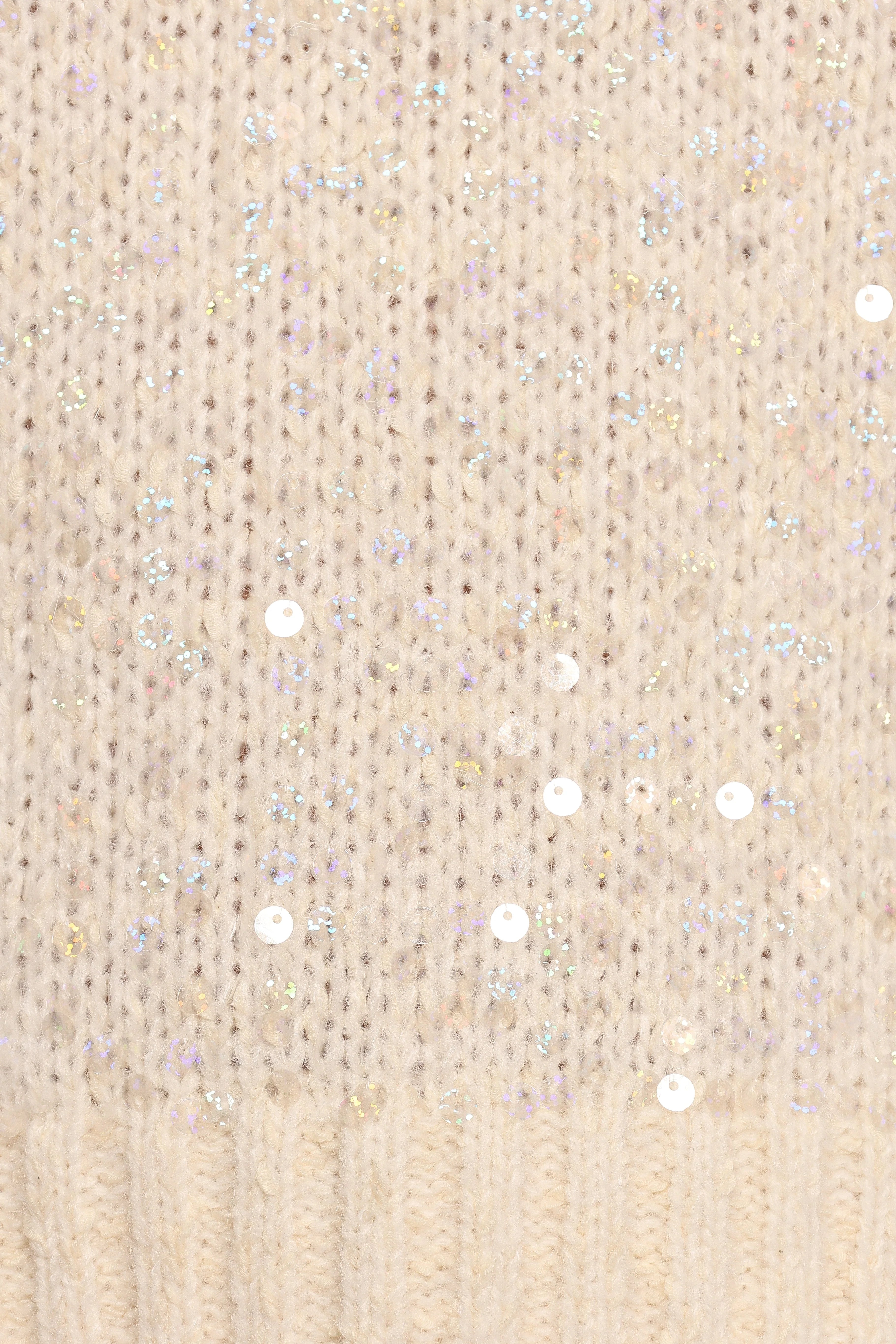 Medora Crewneck Sequin Knit Sweater Ivory