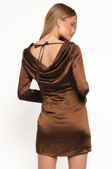 Chance Long Sleeve Mini Dress Brown