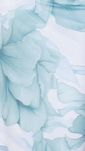 Coda Maxi Dress Blue Floral