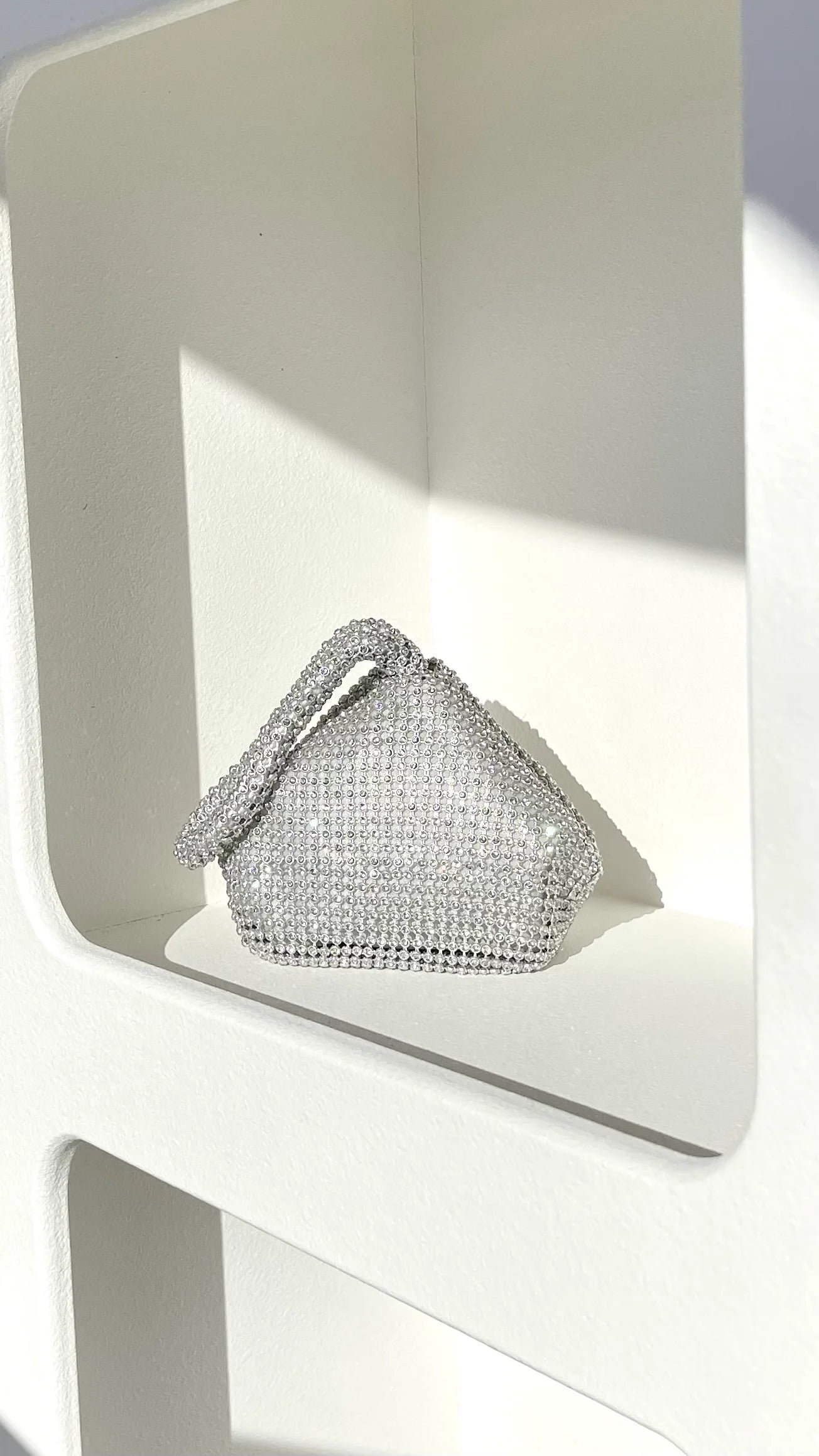 Delawear Bag Silver