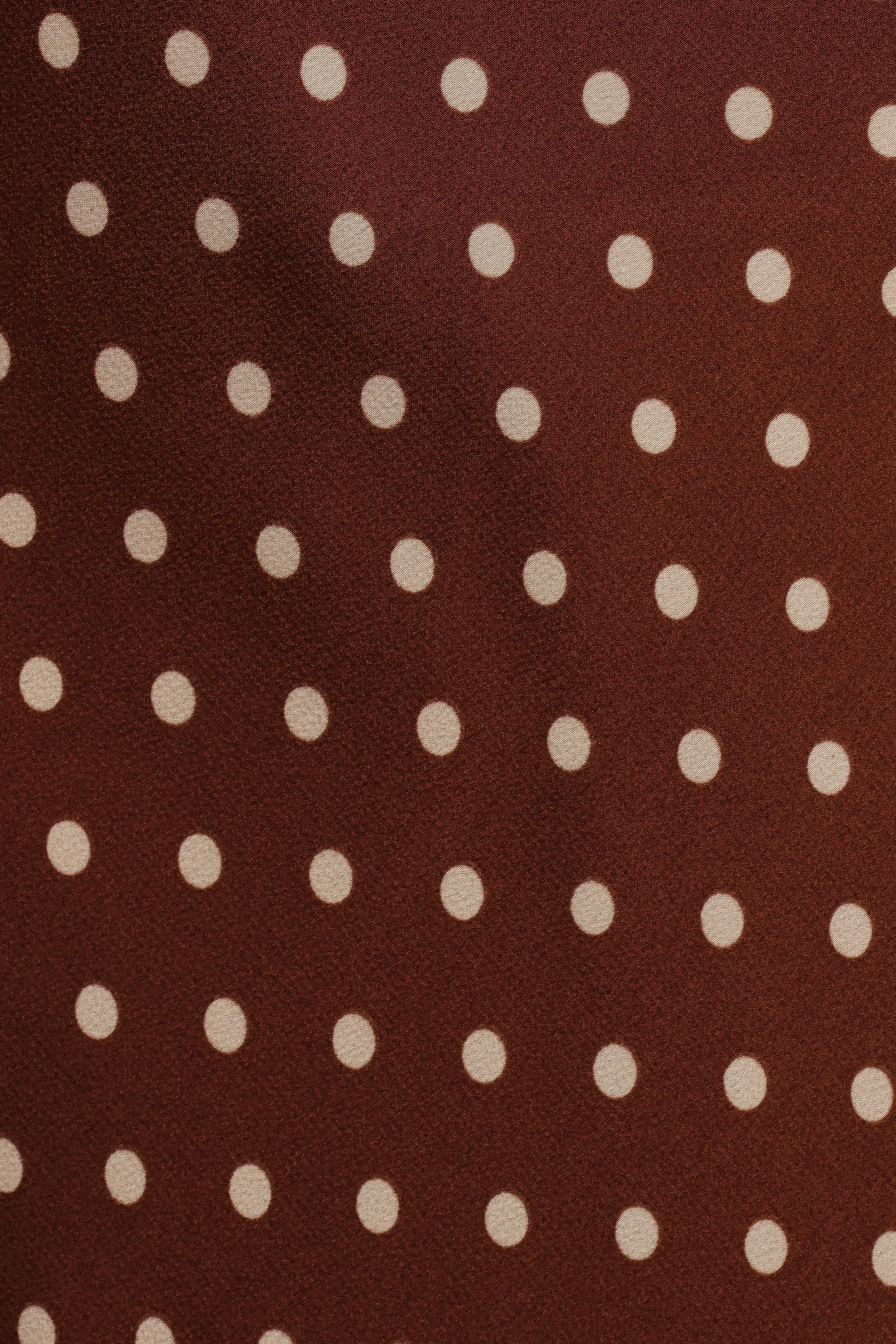Velman Skirt Brown Polka Dot