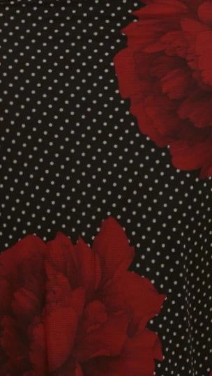 Freeda Maxi Dress Black Floral