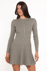 Darlina Long Sleeve Mini Dress Olive