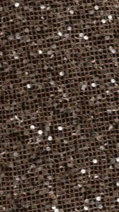 Zinnia Oversized Sequins Tee Mocha