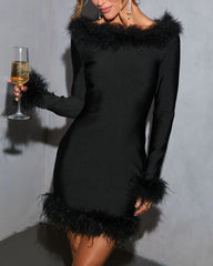 Frosted Intent Feather Trim Mini Dress